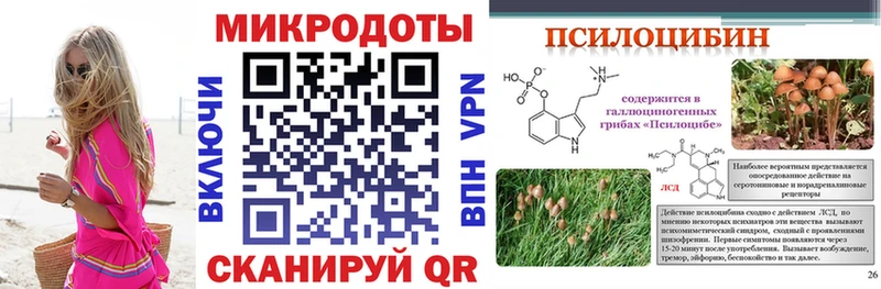 ссылка на мегу сайт  Мегион  Галлюциногенные грибы Psilocybine cubensis  купить наркотики сайты 