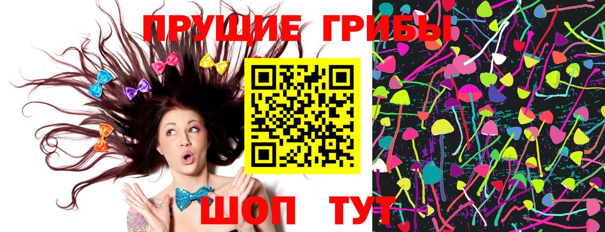купить наркотики цена  Галлюциногенные грибы Psilocybe  Вход с VPN  Мегион 
