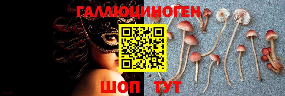 Галлюциногенные грибы ЛСД Мегион
