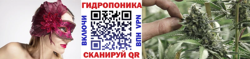 Бошки Шишки Amnesia  OMG зеркало  Мегион 